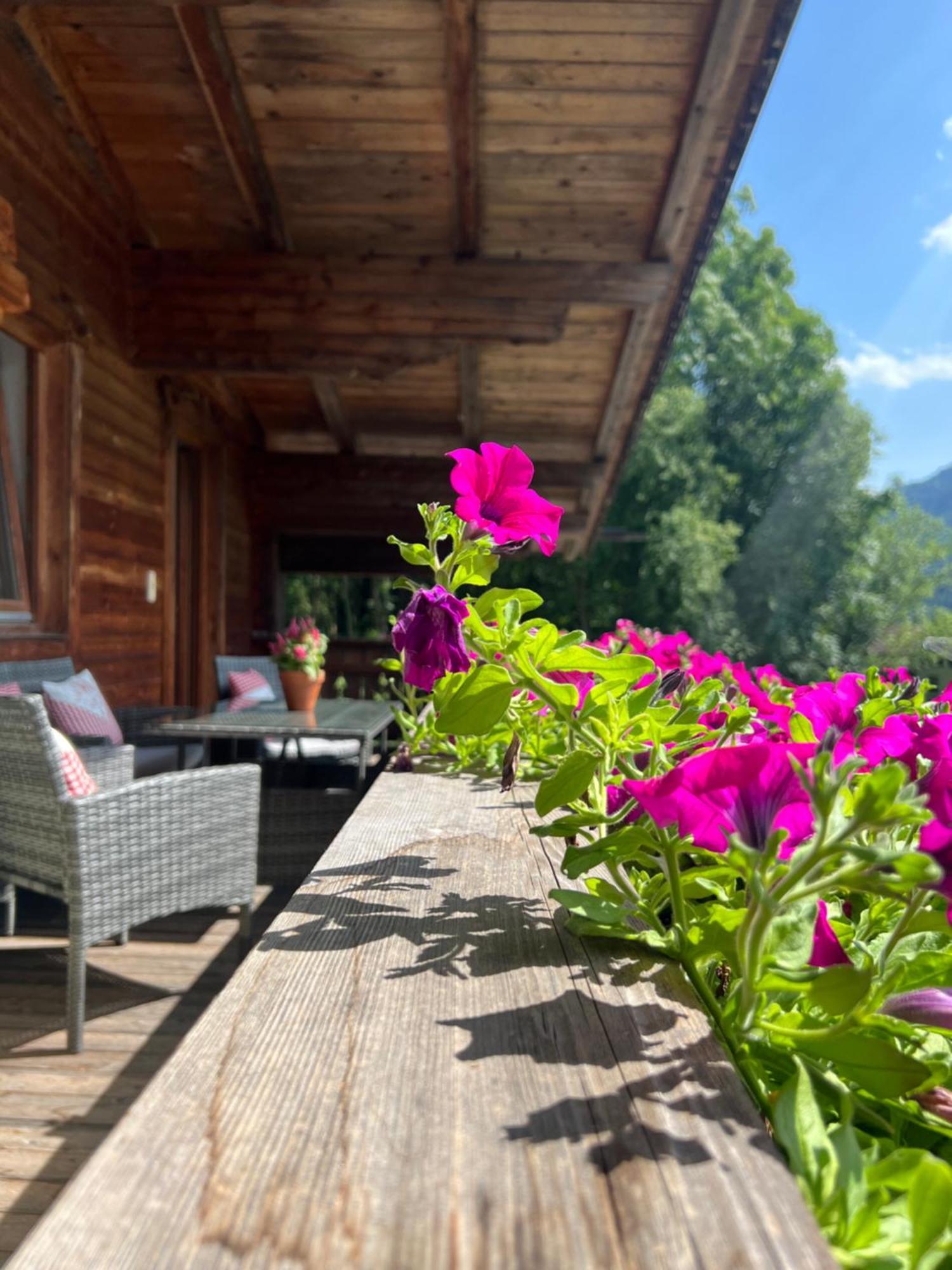 Ferienwohnung Gamsbock Panorama View Balkon, Gartensauna, Garten, Grillplatz Стум Екстериор снимка